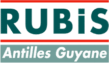 Rubis Antilles Guyane — Energy distribution